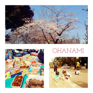 ohanami2016.jpg